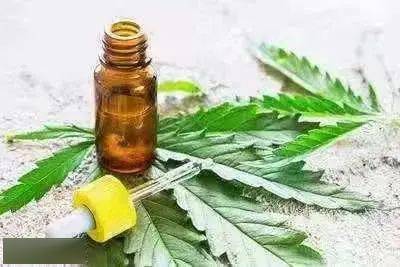 合成大麻素類(lèi) 在煙草偽裝的背后遠(yuǎn)不止你想象的那么簡(jiǎn)單